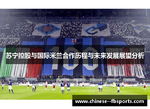 苏宁控股与国际米兰合作历程与未来发展展望分析 苏宁控股与国际米兰合作历程与未来发展展望分析