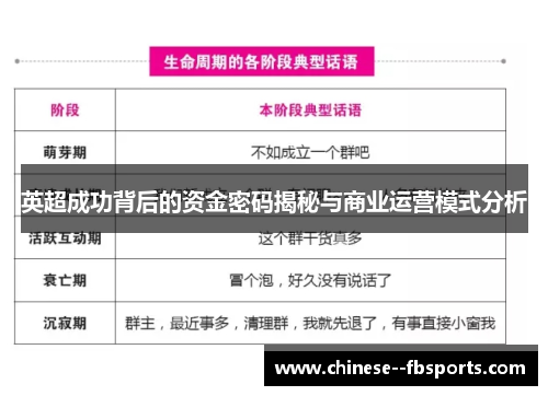 英超成功背后的资金密码揭秘与商业运营模式分析 英超成功背后的资金密码揭秘与商业运营模式分析