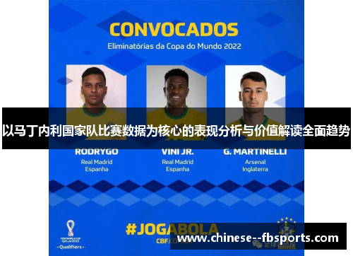 以马丁内利国家队比赛数据为核心的表现分析与价值解读全面趋势