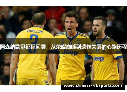 阿森纳欧冠征程回顾：从荣耀巅峰到遗憾失落的心路历程