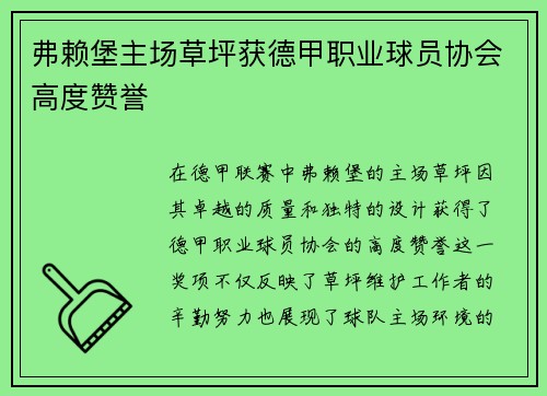 弗赖堡主场草坪获德甲职业球员协会高度赞誉