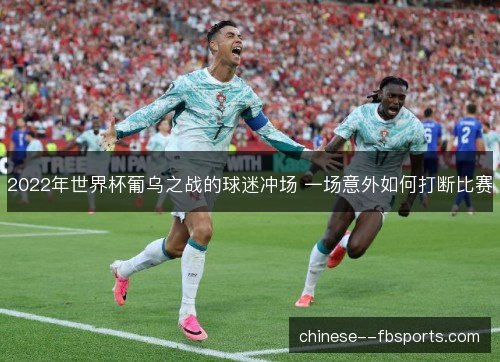 2022年世界杯葡乌之战的球迷冲场 一场意外如何打断比赛